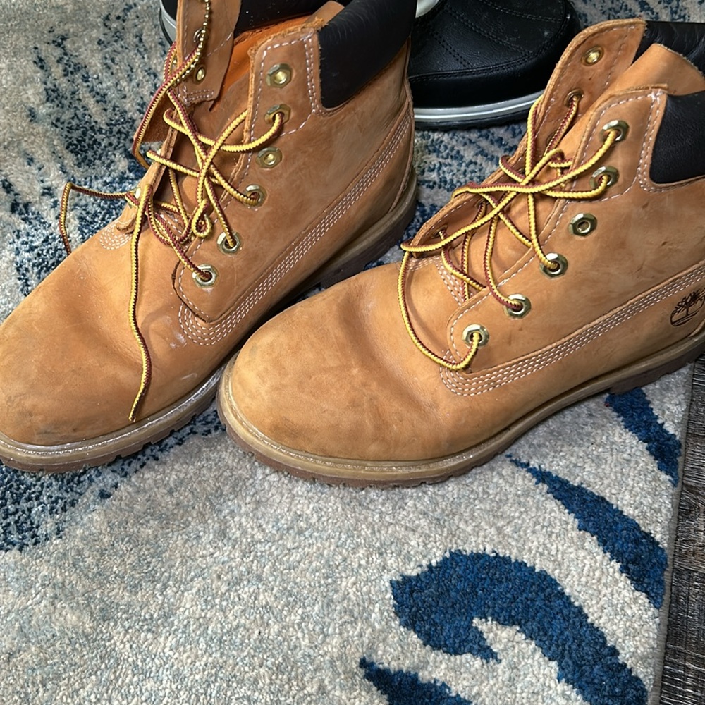 Timberlands - Picture 4 of 4